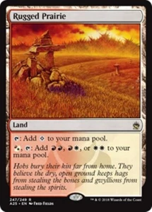 MTG - RUGGED PRAIRIE - Masters 25 (R) - Picture 1 of 1