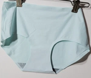 2 PAIR China Brand Stretch Hipsters 86% Nylon/Spandex Blue Panties NWOT Size XL - Imagen 1 de 2