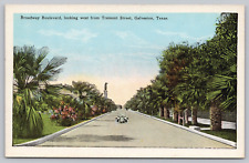 Postcard Galveston Texas Broadway Boulevard Looking West From Tremont Street