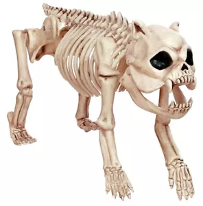 Realistic Fake Dead Pet ZOMBIE SKELETON PIT BULL DOG Creepy Halloween Decoration - Picture 1 of 6