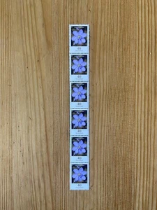 Bund Blumen 6er Streifen Übergang MiNr 2485 Leberblümchen postfrisch ** Rolle 34 - Bild 1 von 2