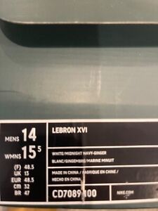 Size 14 - Nike LeBron 16 Air Trainer Medicine Ball