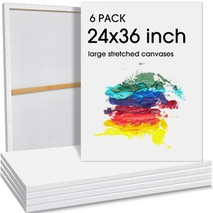 6 Pcs 36 x 24 Inch Large Canvas for Painting Cotton Stretched Canvas Blank Wh... - Picture 1 of 7