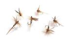 Gold Ribbed Hares Ear Winged Dry Fly Fishing Trout Terrestrial Flies