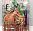 Kaiyodo Kitan Club Japan Exclusive HOKKAIDO HAIRY CRAB Figure Bag Phone Strap