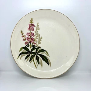 Vintage Swinnertons Staffordshire 'Nestor Vellum' Plate c1950's/1960's - Picture 1 of 4
