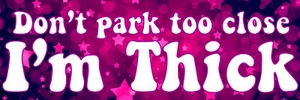Funny Girl Decal - Don't Park Too Close I'm Thick 9 in wide - Picture 1 of 1