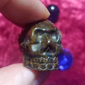 Hexenbesetzung ~ Mächtigster Tigerauge Schädel ~ Schutz vor dem Bösen ~ Dark Arts - Bild 1 von 2