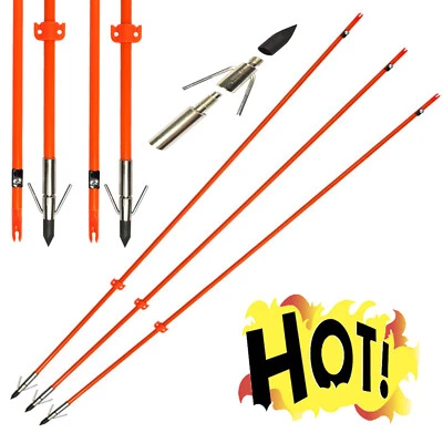 3pcs 32''Archery Fiberglass Arrow Bowfishing Arrows with Fish Hunting Broadhead - Image 1 of 4