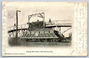 Un vertedero de remolacha azucarera cerca de Greeley Colorado CO 1907 tren de cosecha - Imagen 1 de 3