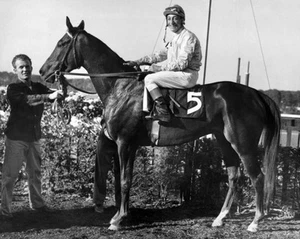 1961 Great American Racehorse KELSO Glossy 8x10 Photo Print Belmont Race Winner - Picture 1 of 1