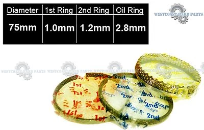 BRAND NEW 96-00 HONDA CIVIC DEL SOL 1.6L D16Y7 D16Y8 STANDARD SIZE PISTON RINGS  - Image 1 of 2