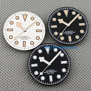 Steriles Zifferblatt 29 mm Uhrzeiger passend für ETA 2836 2824 NH35 NH34 8215 821A DG2813 3804 - Bild 1 von 11