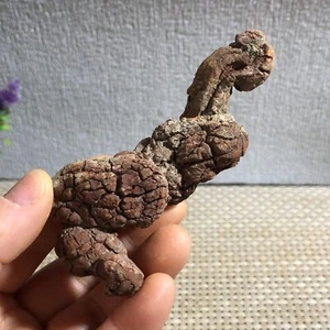 Muestras minerales en bruto estiércol dinosaurio coprolito 97 g d7 - Imagen 1 de 11