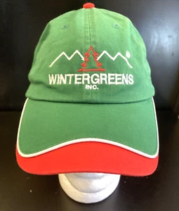 Wintergreens Inc Hat Cap Mens Green Red Evergreen Tree Adjustable Port Authority - Picture 1 of 12