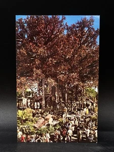 Disneyland WALT DISNEY Anaheim CA Swiss Family Robinson Treehouse PC Vintage - Bild 1 von 5