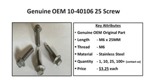 M6 X 1.0 x 25MM (Long) Stainless Steel Bolt (40106 25) - Picture 1 of 9