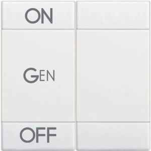 ON OFF GEN BTICINO LIVING LIGHT BUTTON COVER N4911M2AFN 2 MODULES - Picture 1 of 1