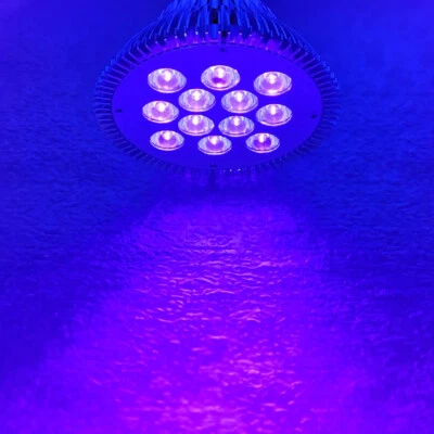 36W UV 395nm~400nm PAR38 Ultraviolet Purple LED Lamp Spot Light Bulb for Curing - Image 1 of 4