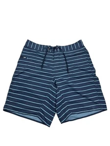 Patagonia Board Shorts Mens 34 Blue Stripe Shorts Unlined Wavefarer - Picture 1 of 15