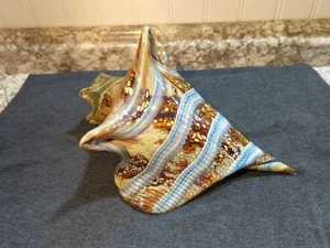 Vintage Mouth Blown Art Glass Sea Conch Shell by Marty Hook & Janet Sweeney EUC! - Picture 1 of 18