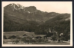 Raitis an der Stubaitalbahn, Panorama mit den Bergen, Ansichtskarte  - Bild 1 von 2
