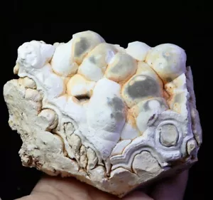 1.61 lb Natural Original Agate Quartz Crystal Stone Mineral Specimen Madagascar - Picture 1 of 11