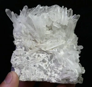 283g Natural White Chrysanthemum Quartz Crystal Cluster Mineral Specimen - Imagen 1 de 10