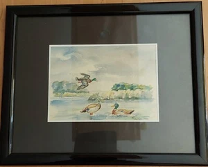 Aquarell Bilder mit Enten von Kluschke signiert (1990) im Rahmen - Bild 1 von 2