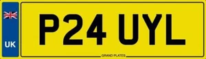 PAUL PAULS NUMBER PLATE TRANSFER FEES INCLUDED - P24 UYL - PAULY PAULINE PAULIE - Picture 1 of 3