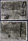 I7/28 WW2 ORIGINAL PHOTOS OF GRAVES OF GERMAN WEHRMACHT SOLDIERS