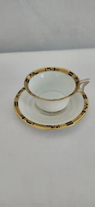 Vintage Rosenthal Germany Selb TIRANA Porcelain Tea Cup with Saucer EUC - Picture 1 of 5