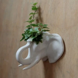 Elefantenkopf Wandvase / Vase / Blumentopf - Bild 1 von 5