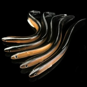 30cm PVC Saltwater Lures Bionic Soft Eel Fishing Faux Bait Cod Fish Shape Float - Picture 1 of 5