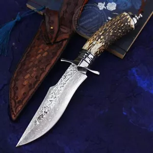 Cuchillo de caza para acampar al aire libre de supervivencia Damasco asta de ... - Imagen 1 de 12