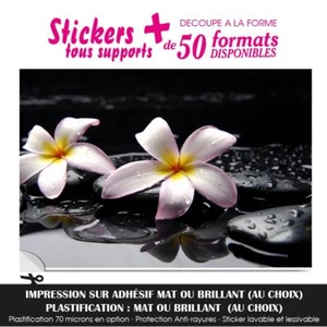 STICKER GALET ORCHIDEE FLEUR EAU STICKERS AUTOCOLLANT DECO DECORATION ZN-26 - Imagen 1 de 64