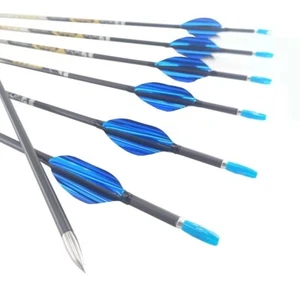 ID4.2mm Archery Pure Carbon Arrow Shaft With Spiral Feather Spine350-900 6/12pcs - Picture 1 of 4