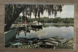 Blue Springs Park Florida St. John’s River Vintage Postcard - Picture 1 of 2