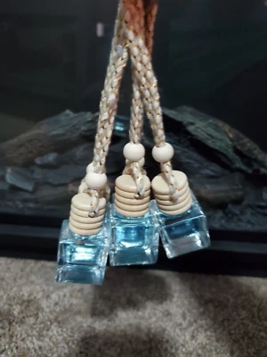 Final Quantities Hanging Car Air Freshener-8 ml-Men's Cologne Scents-Sale - Image 1 of 4