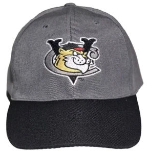 Tri City Valley Cats Minor League Baseball Team Gray Strapback Hat, CDTA - Picture 1 of 7