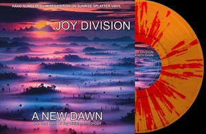 Joy Division A New Dawn: The Very Best of Joy Division in Concert (Vinyl) - Picture 1 of 1