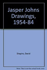 Jasper Johns Drawings, 1954 to 1980 Hardcover David Shapiro