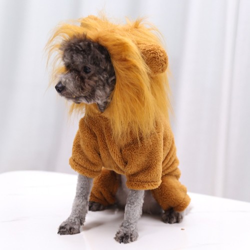 VETEMENTS Bellissimo cappotto caldo creativo per animali domestici divertente design leone vestiti costume animale domestico per cane