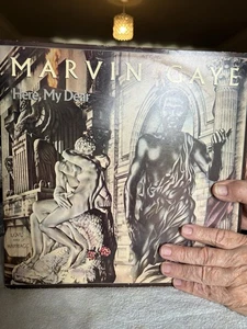 Marvin Gaye - Picture 1 of 8