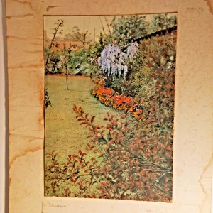 Dated 1940 gouache painting "Wysteria" -original- signed "H Harold" - 9.75" x 7" - Picture 1 of 12