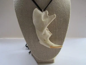 Collar colgante de cuero de piel de ciervo con mandíbula de castor joyería distintiva N375 - Imagen 1 de 4