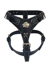 Extra Large Heavy Duty Leather Dog Harness Silver / Gold only For Pocket Bully - Picture 1 of 4