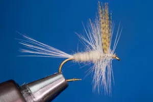 Light Cahill - Picture 1 of 3