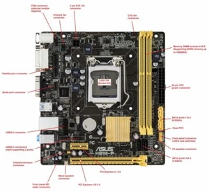 Scheda madre ASUS H81M-P-SI- Socket LGA 1150-Motherboard-Mainboard - Foto 1 di 3
