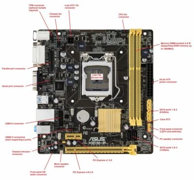 Scheda madre ASUS H81M-P-SI- Socket LGA 1150-Motherboard-Mainboard - Immagine 1 di 3